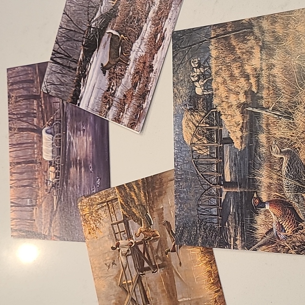 Set of 8 Wildlife McGilvray Photo Print Cards.